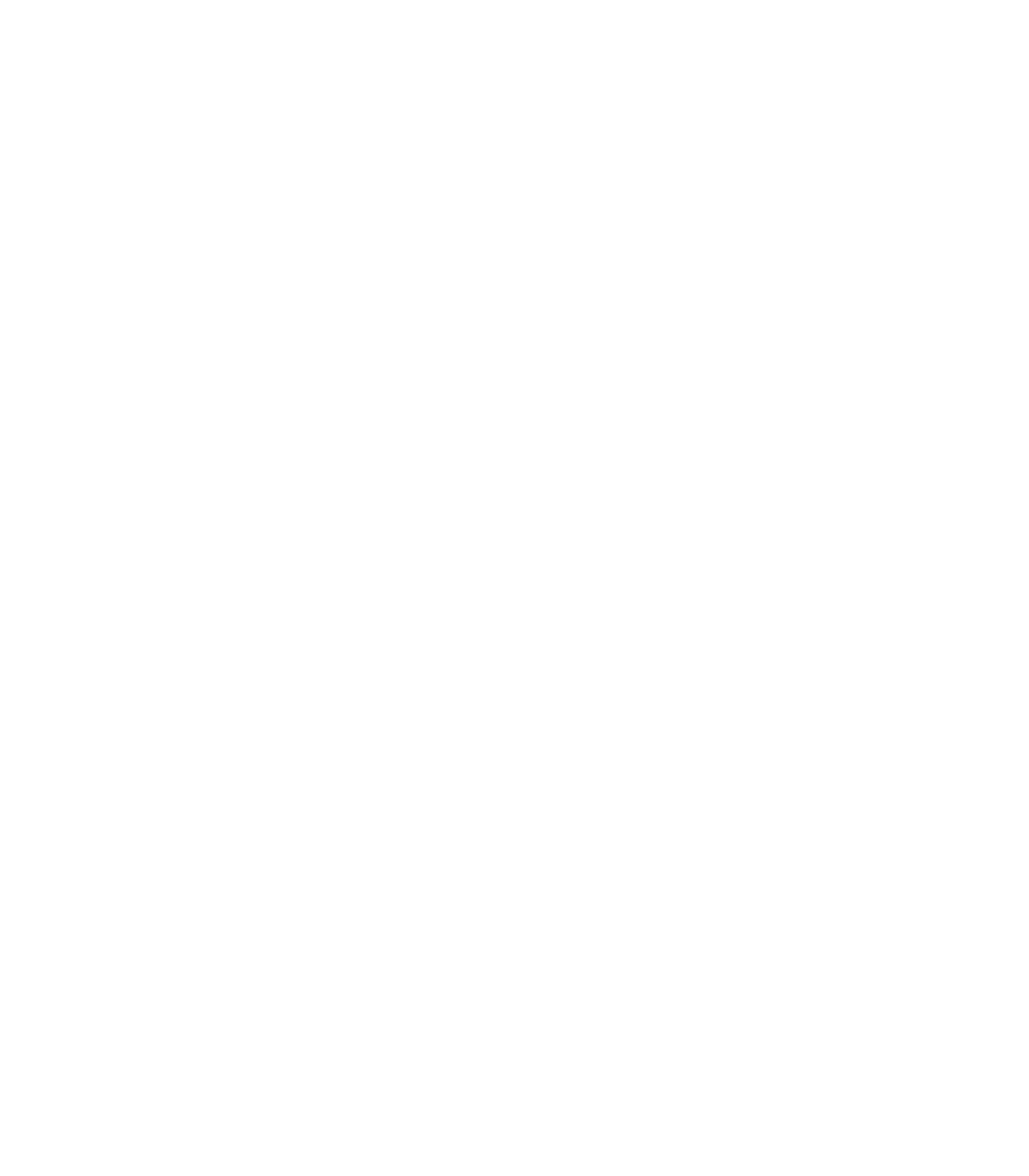 F#CK STEPHEN SCHWARZMAN. statement shirt design